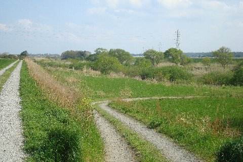 土手道と田んぼ　その1