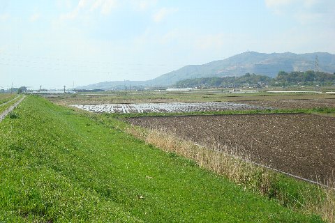 土手道と田んぼ　その2