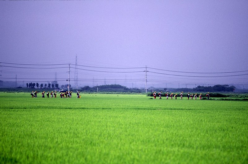 田園風景